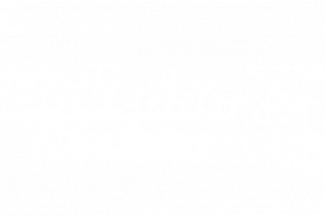 Logo des Küchenherstellers Ballerina